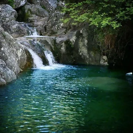 Affittacamere Paradiso