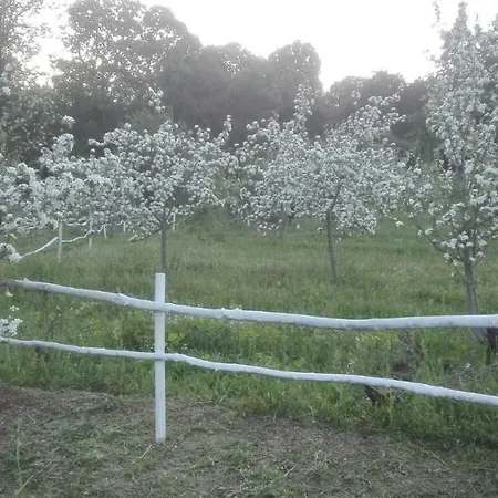 Affittacamere Paradiso Vendégház